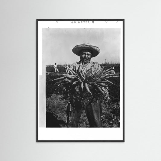 Mexican Farmer
