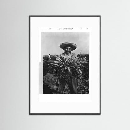Mexican Farmer