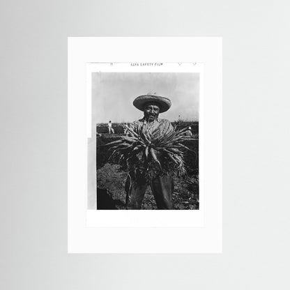 Mexican Farmer