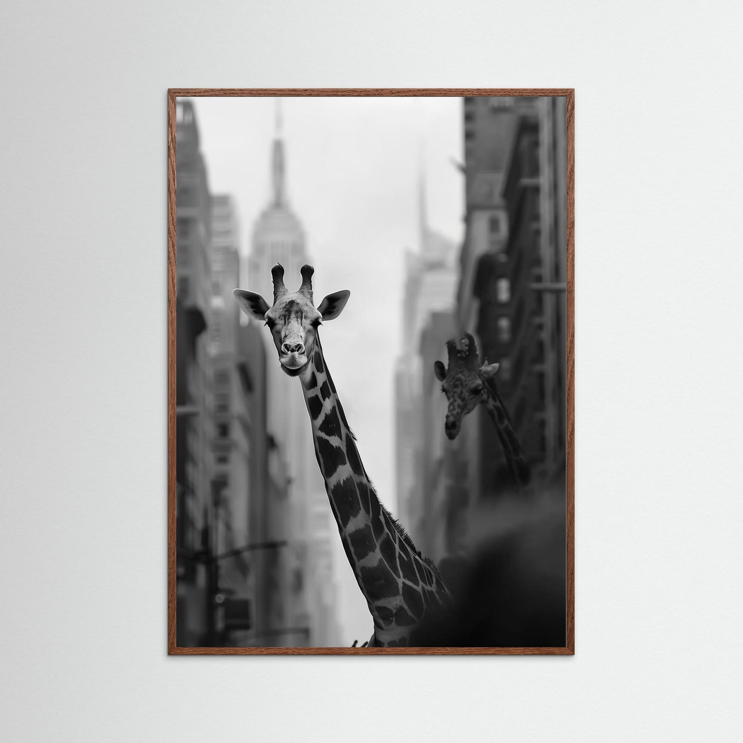 Giraffe in New York