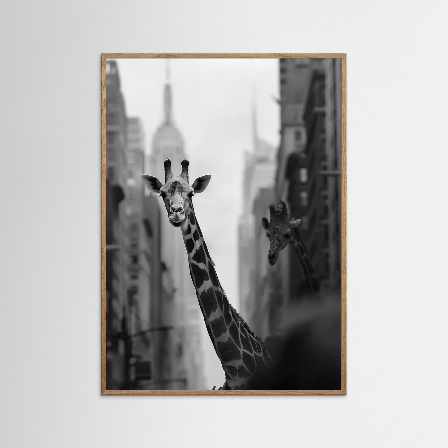 Giraffe in New York