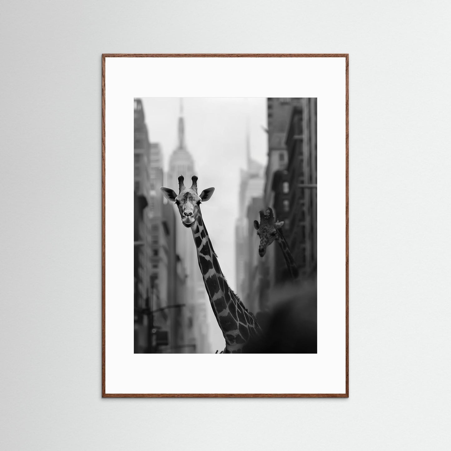 Giraffe in New York