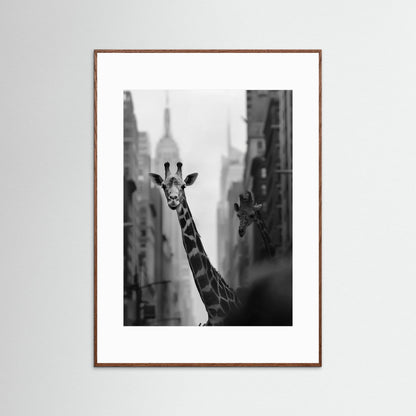 Giraffe in New York