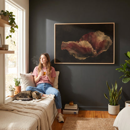 Single burgundy and gold poppy bloom floating on a near black background, dark floral horizontal canvas print