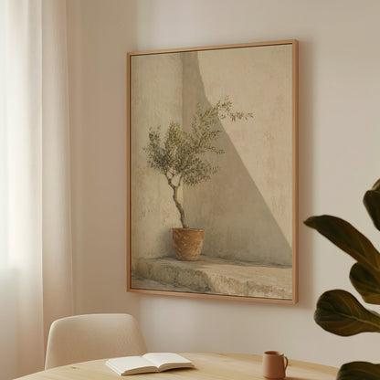 Small olive tree in a terracotta pot in a sunlit courtyard corner, canvas print