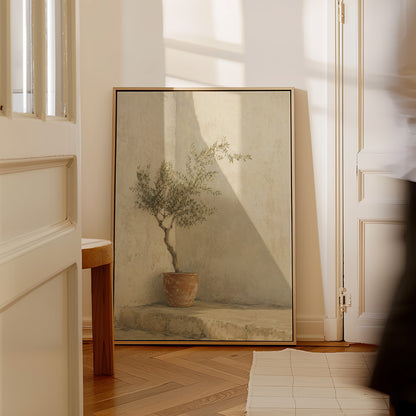 Italian canvas wall art showing small olive tree in a terracotta pot in a sunlit courtyard corner