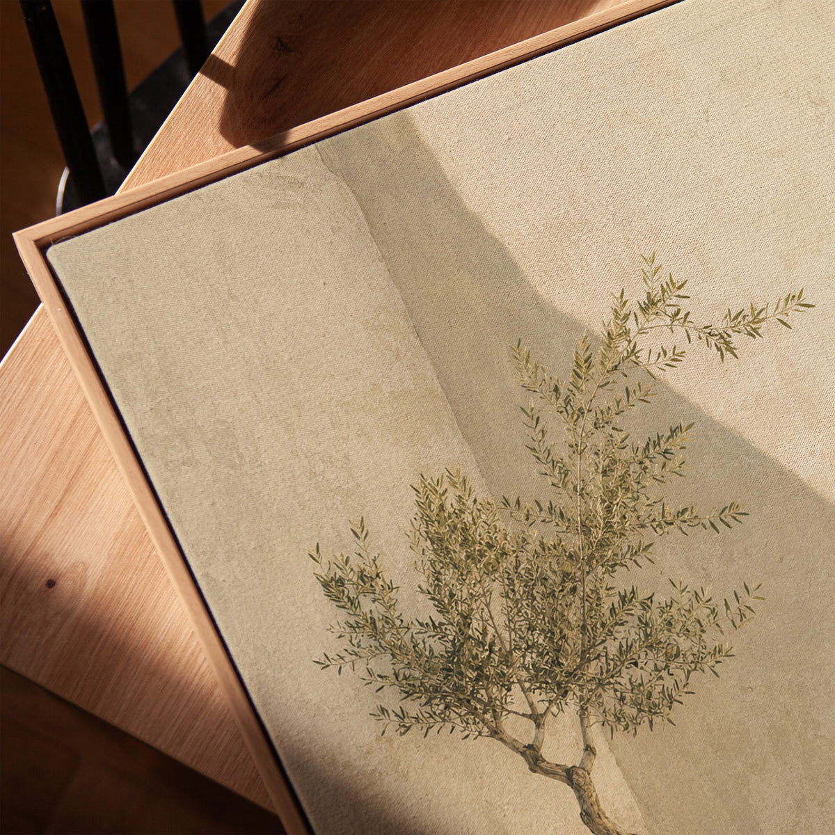 Small olive tree in a terracotta pot in a sunlit courtyard corner, vertical canvas print