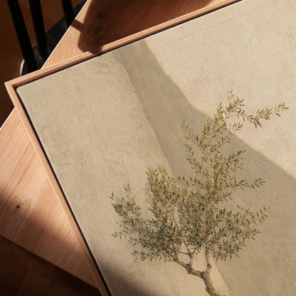 Small olive tree in a terracotta pot in a sunlit courtyard corner, vertical canvas print