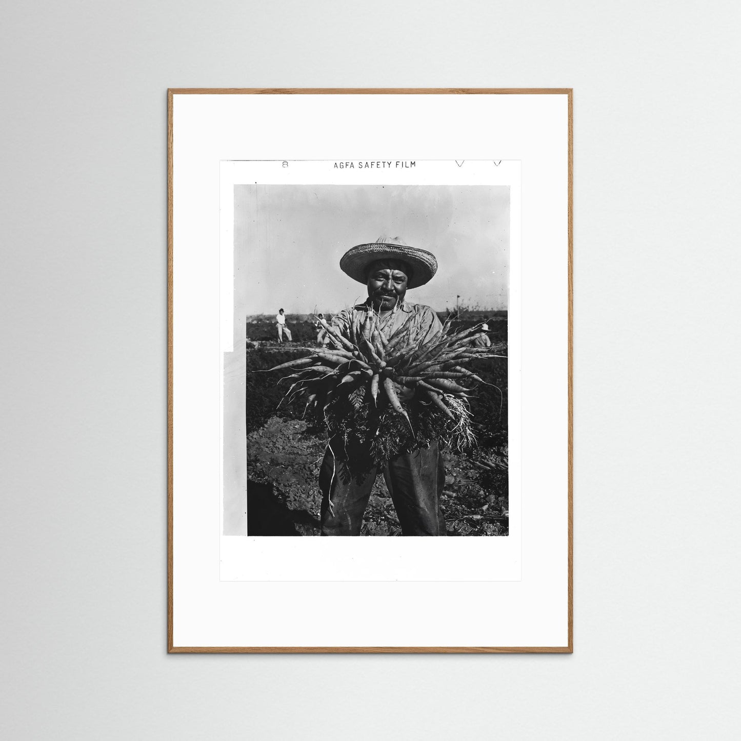 Mexican Farmer