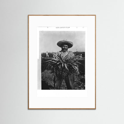 Mexican Farmer