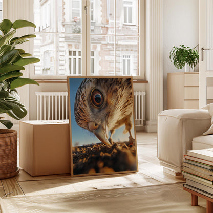 Bird Wall Art | Modern Nature Art Print with Bird Eye Close-Up in Warm Tones