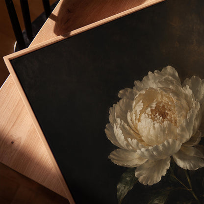 White peony in full bloom against a dark background, canvas print in a warm, minimally styled interior