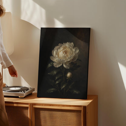 White peony in full bloom against a dark background, canvas print seen in a warm interior with natural light