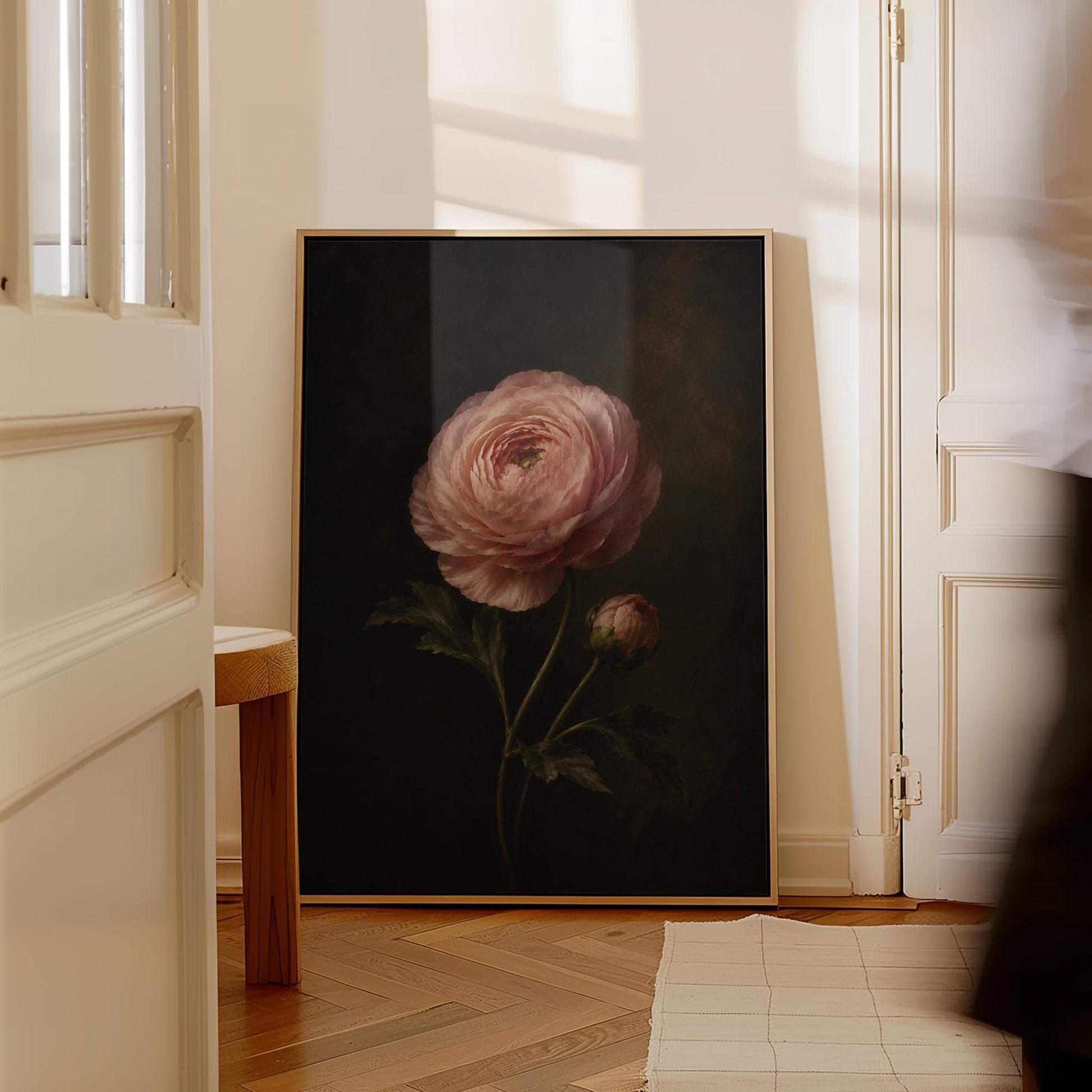 Single pink ranunculus bloom against dark shadow, canvas print hanging in a calm, modern living space