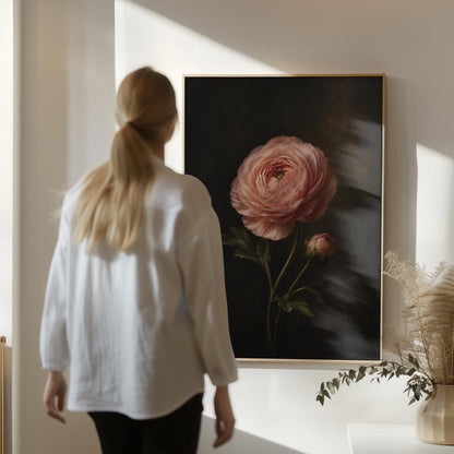 Single pink ranunculus bloom against dark shadow, canvas print styled against a soft white wall