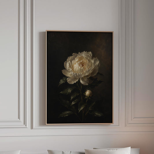 White peony in full bloom against a dark background, canvas print in a bright room with natural daylight