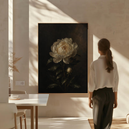 White peony in full bloom against a dark background, canvas wall art seen in a warm interior with natural light