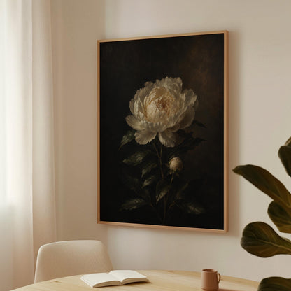 White peony in full bloom against a dark background, canvas wall art presented in a light, minimal room