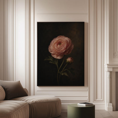 Single pink ranunculus bloom against dark shadow, canvas print on a softly lit wall in a calm interior
