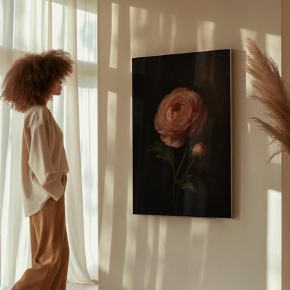 Single pink ranunculus bloom against dark shadow, canvas print presented in a light, minimal room