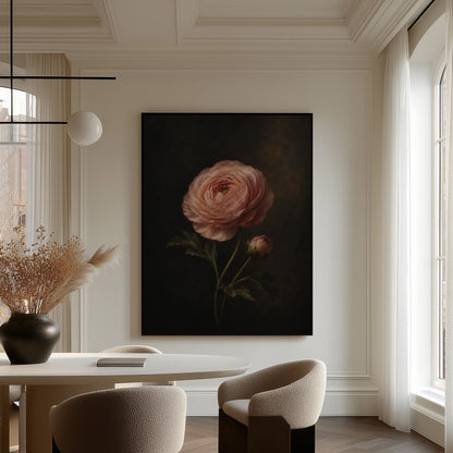 Single pink ranunculus bloom against dark shadow, canvas print displayed on a neutral wall in a styled interior