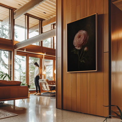 Single pink ranunculus bloom against dark shadow, canvas wall art seen in a warm interior with natural light