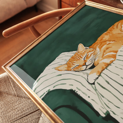 Feline Afternoon Rest