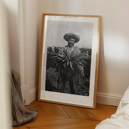 Mexican Farmer