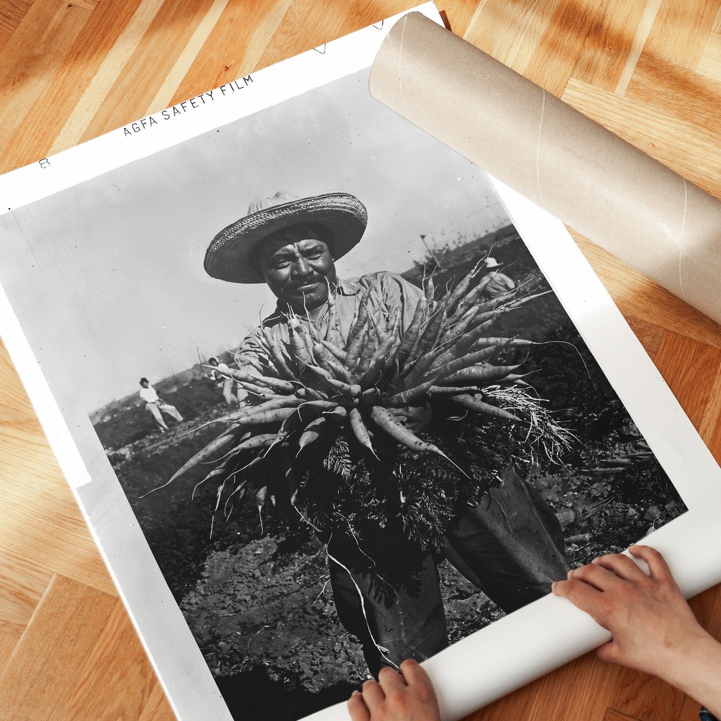 Mexican Farmer