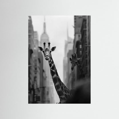 Giraffe in New York