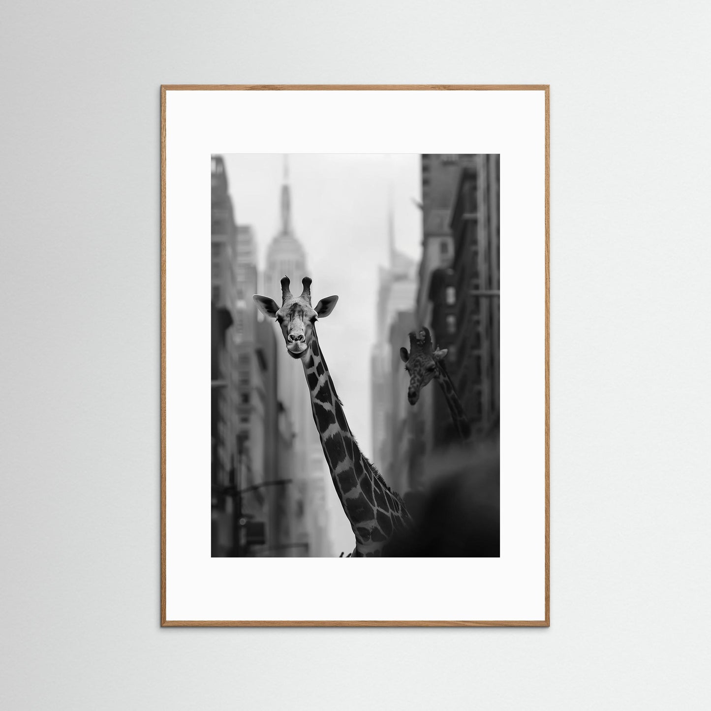 Giraffe in New York