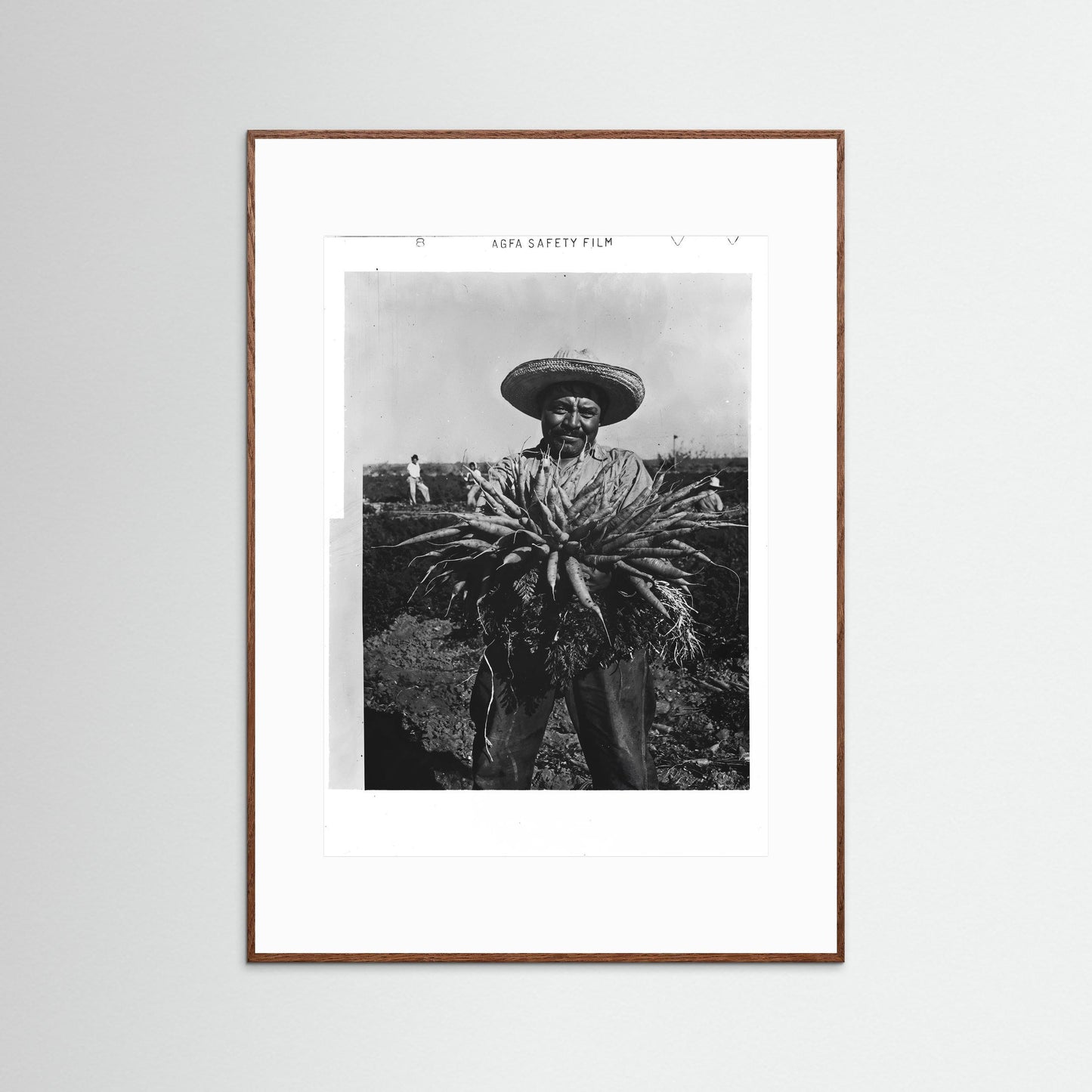 Mexican Farmer