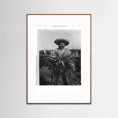 Mexican Farmer