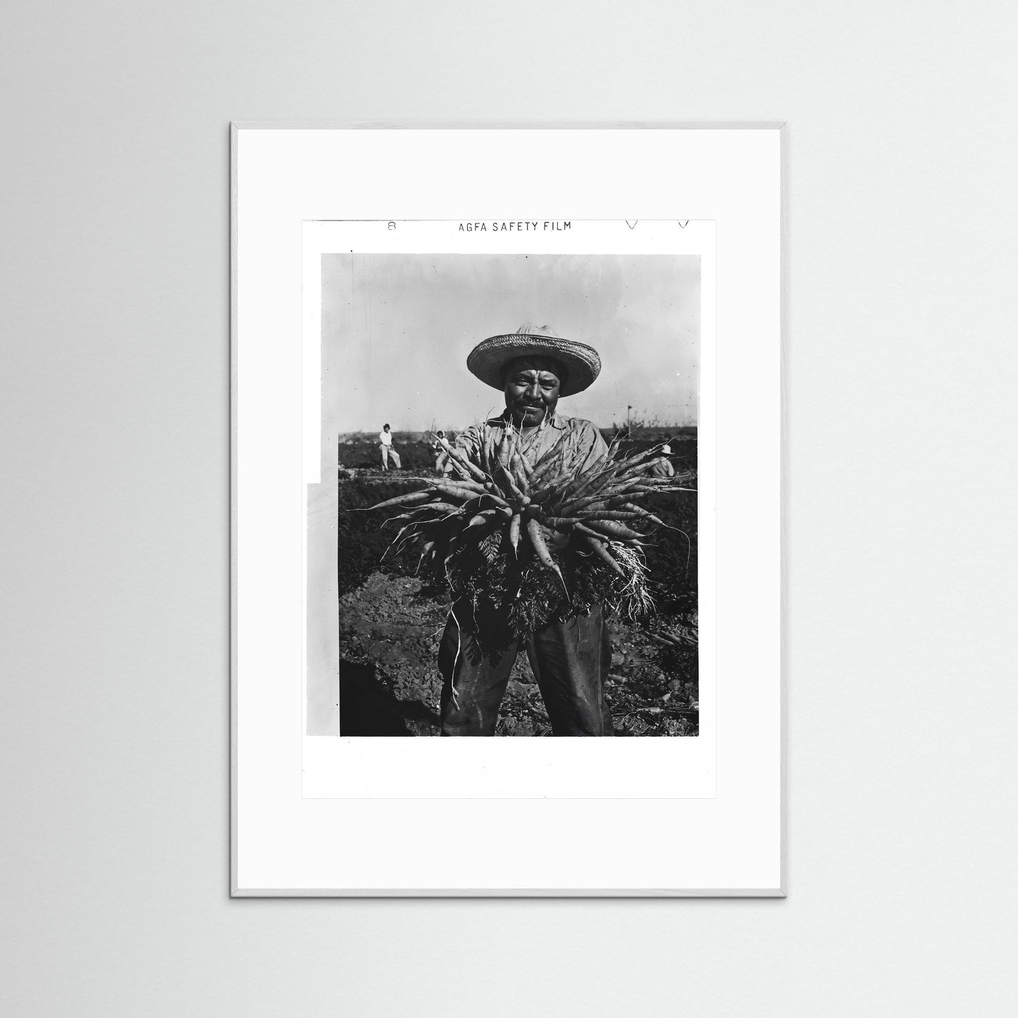 Mexican Farmer
