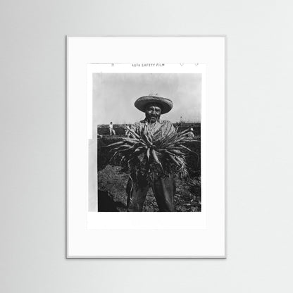 Mexican Farmer